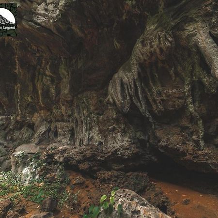 Khaosok Legend Villa Khao Sok National Park Eksteriør billede